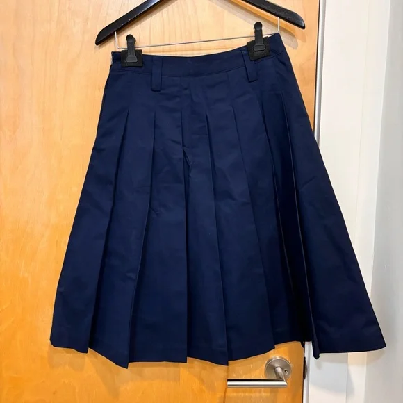 Anthropologie Pleated Midi Skirt - Picture 6 of 15